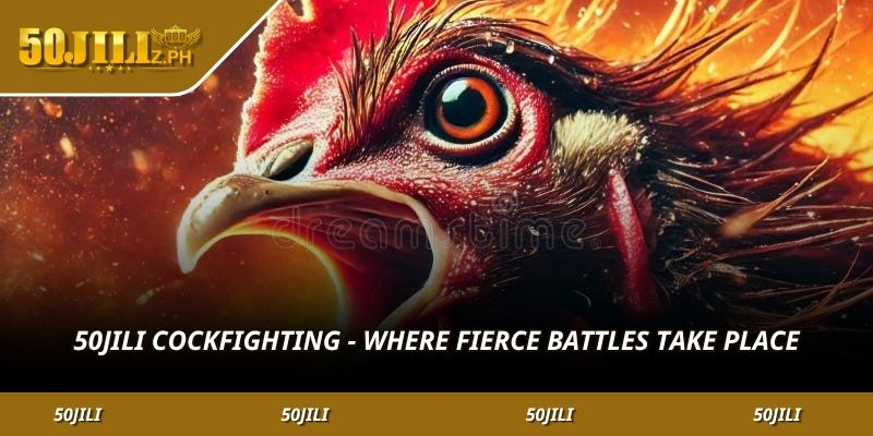 50JILI Cockfighting - Where fierce battles take place